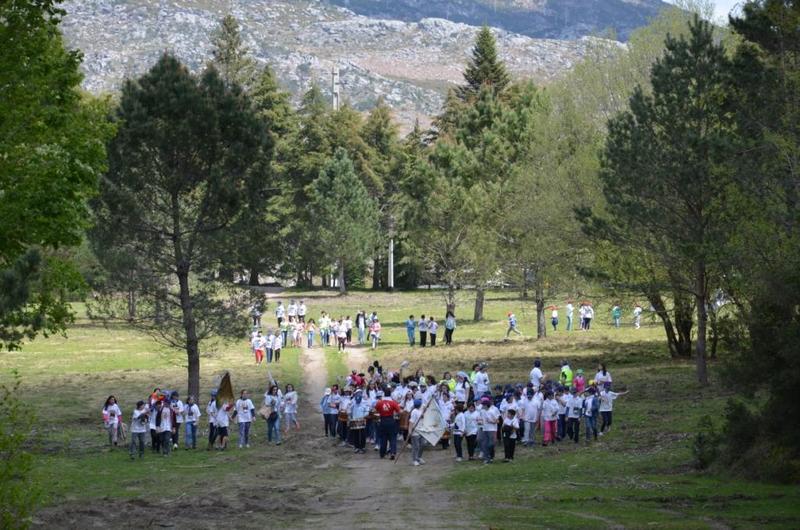 Mais de 800 alunos participaram no Encontro Regional de Clubes da Floresta do Noroeste