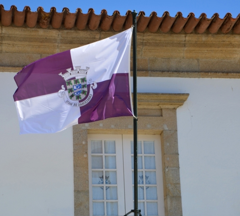 Leia mais sobre Cmara disponibiliza transporte gratuito para rastreios no IPO do Porto