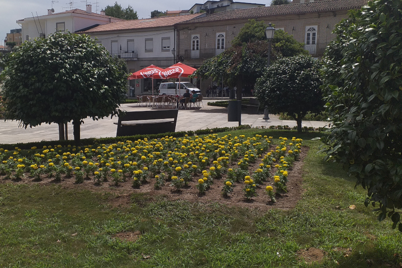 Canteiros da Praça da República recebem novas plantas