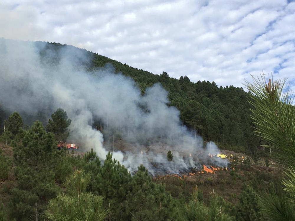 Ações de fogo controlado renovam pastagens no Perímetro da Serra da Cabreira