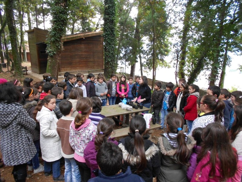 Leia mais sobre Cabeceiras de Basto associa-se à iniciativa «Vamos Plantar Portugal»