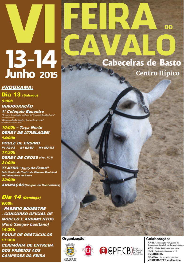 Leia mais sobre Cabeceiras de Basto prepara edio 2015 da Feira do Cavalo