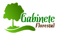 Informação do Gabinete Florestal