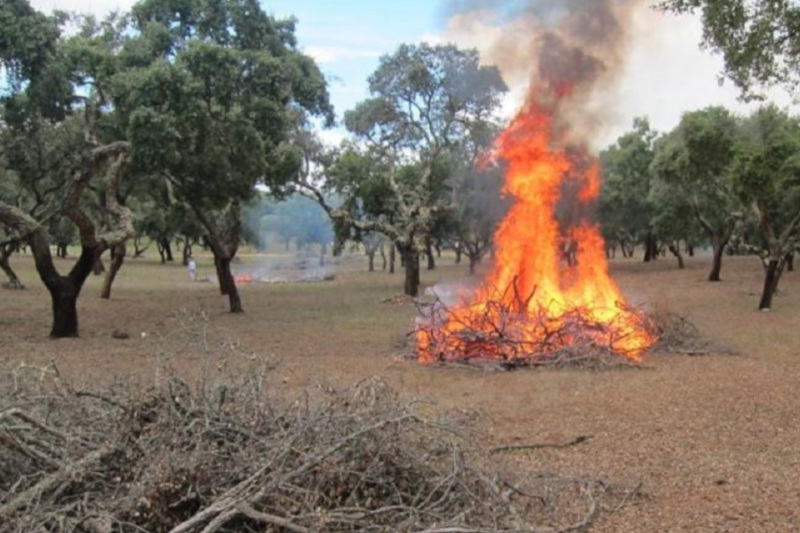 Leia mais sobre Recomendações sobre queima de sobrantes em segurança
