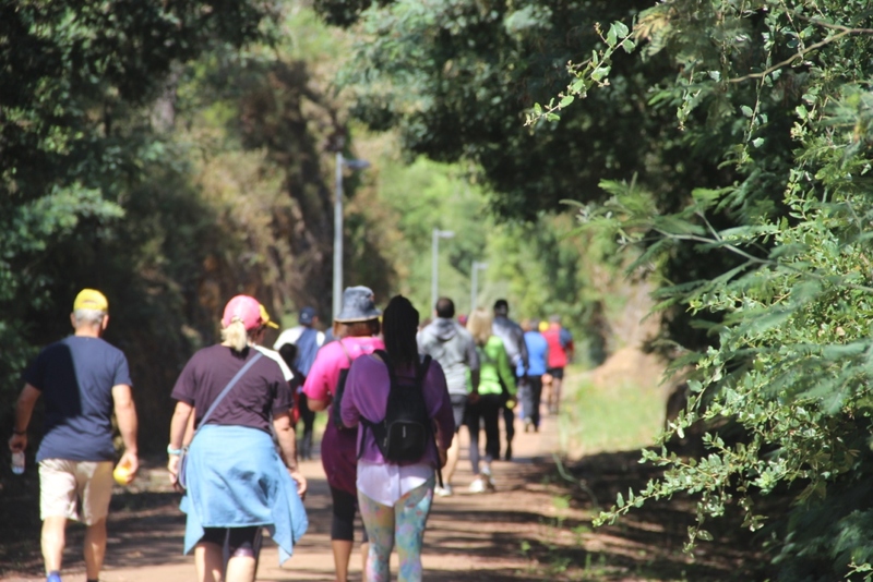 Leia mais sobre Dia Mundial do Ambiente celebrado com caminhada na Ecopista do Tâmega