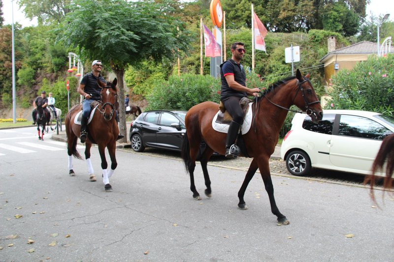 Festas de S. Miguel 2019 - Passeio Equestre
