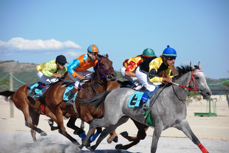 Leia mais sobre Hipódromo Municipal acolhe Corrida de Cavalos