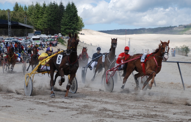 Leia mais sobre Hipódromo Municipal recebe corrida de cavalos