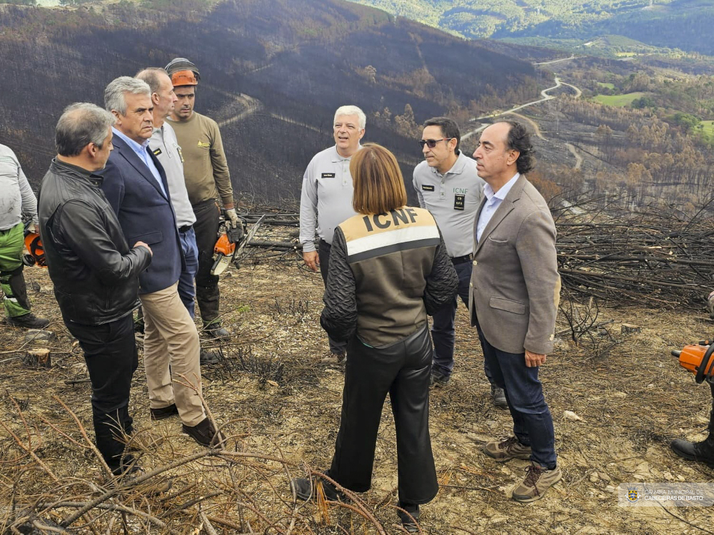 Secretário de Estado das Florestas visitou áreas afetadas pelos incêndios em Cabeceiras de Basto