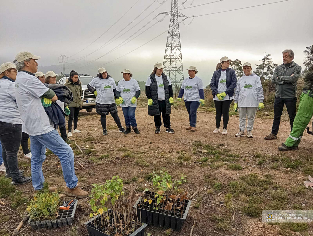 Dia Internacional do Voluntariado