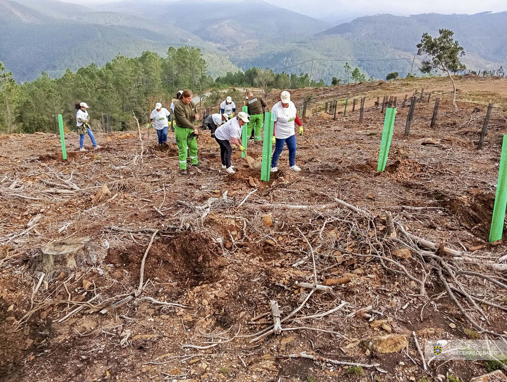 Dia Internacional do Voluntariado