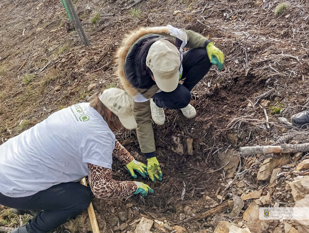 Dia Internacional do Voluntariado