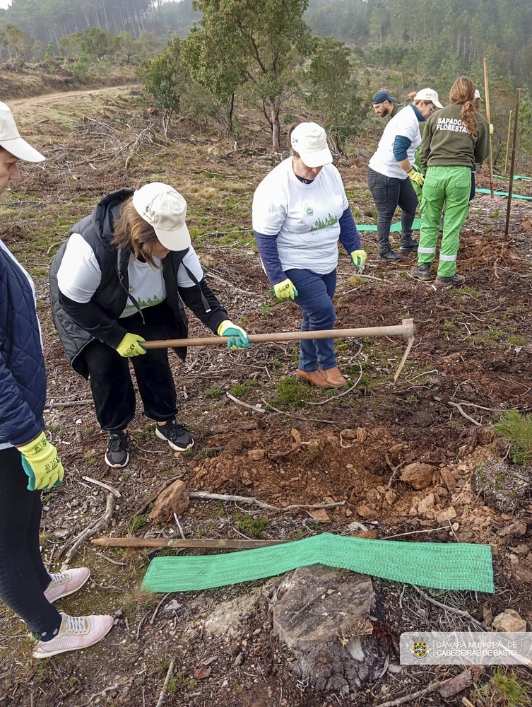 Dia Internacional do Voluntariado