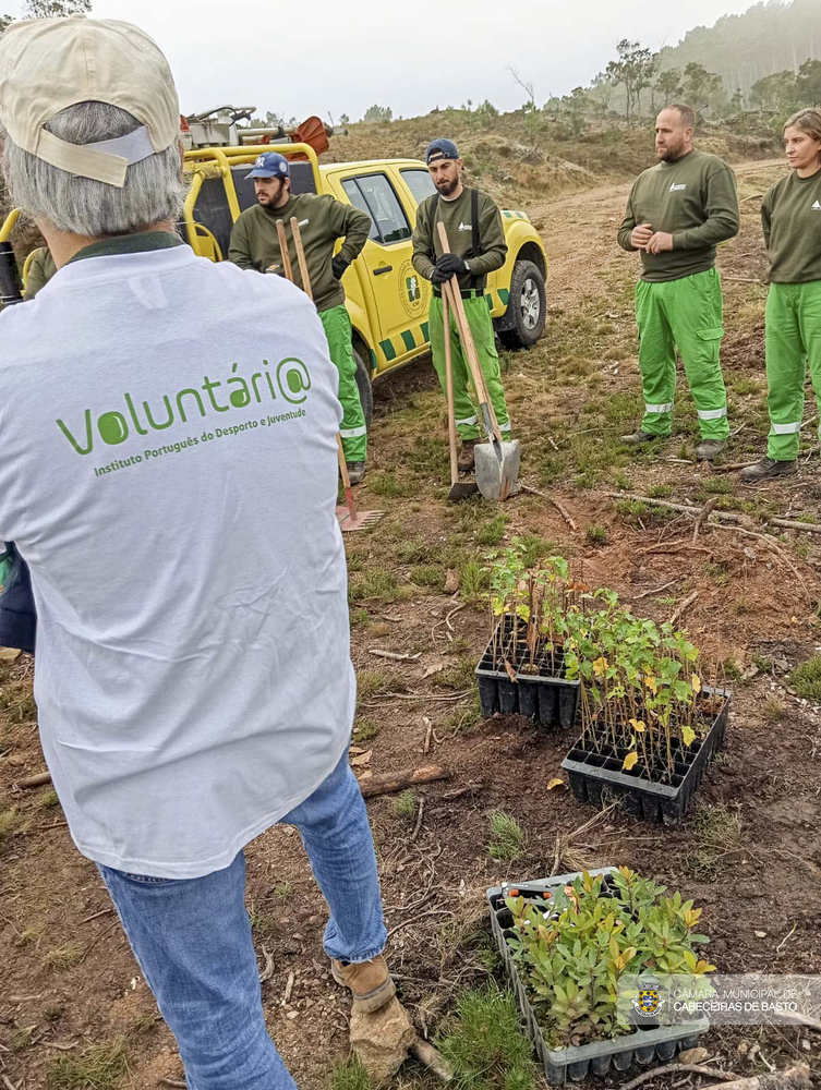 Dia Internacional do Voluntariado