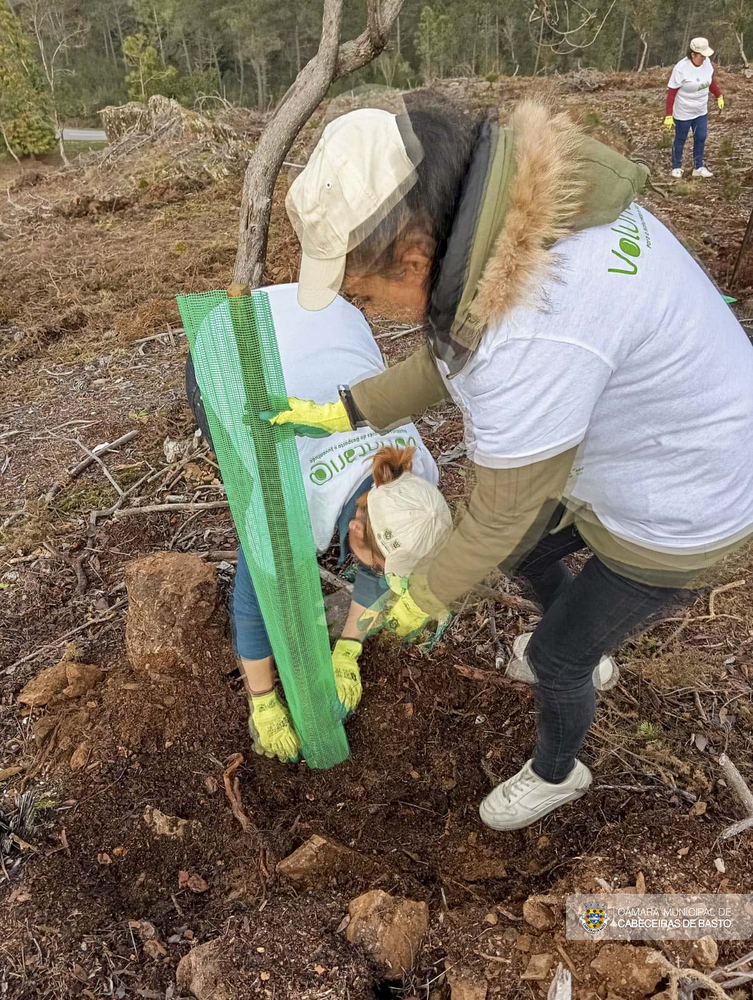 Dia Internacional do Voluntariado