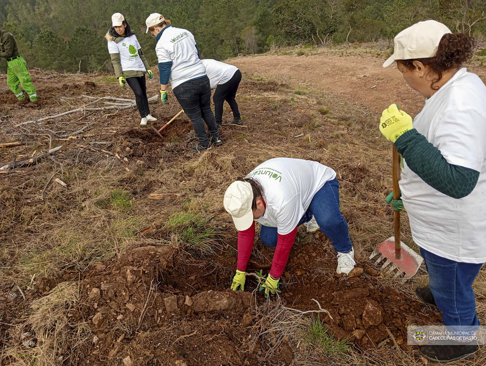 Dia Internacional do Voluntariado