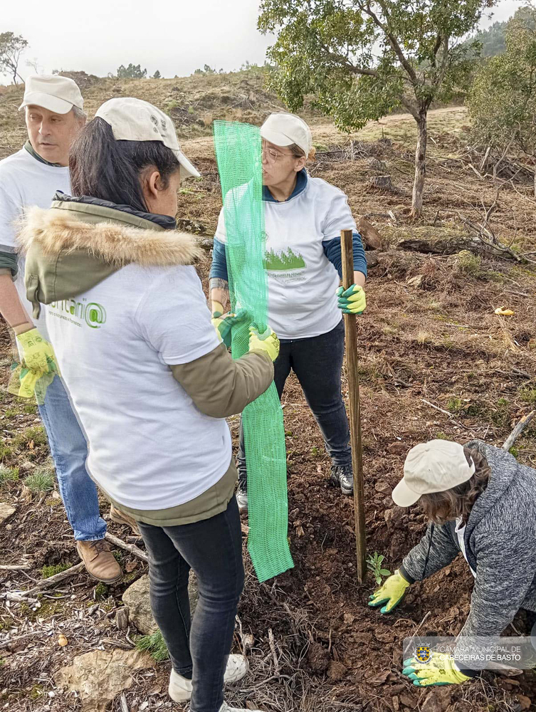 Dia Internacional do Voluntariado