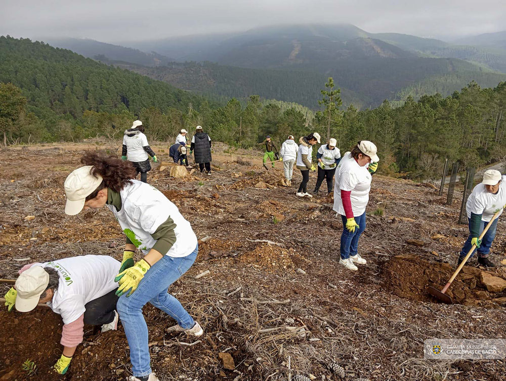 Dia Internacional do Voluntariado