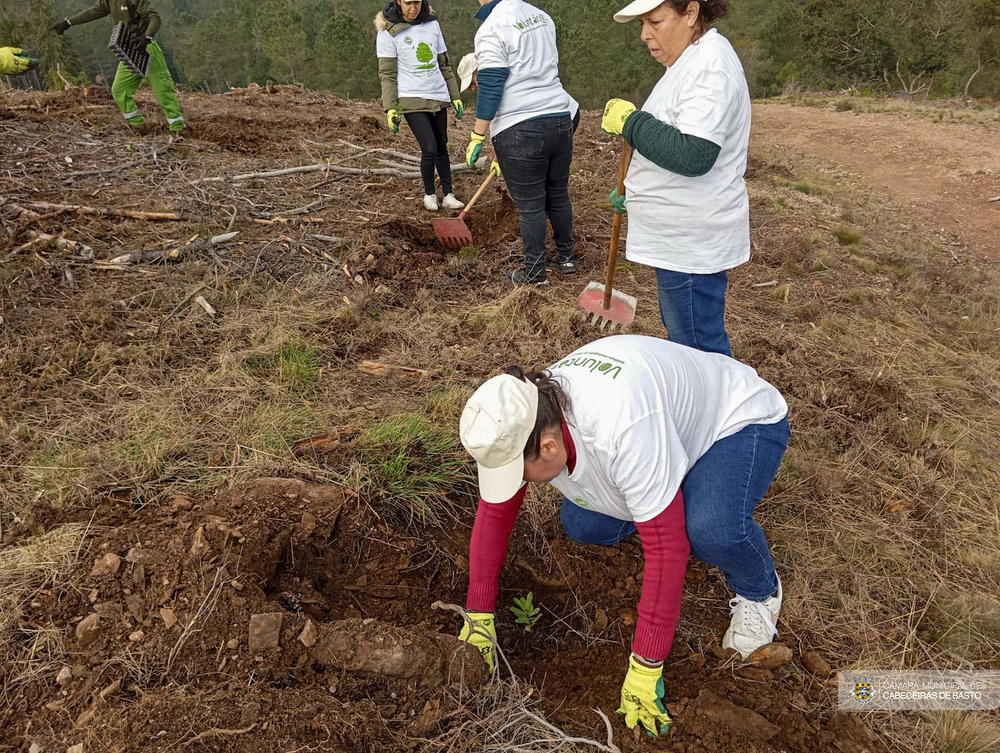 Dia Internacional do Voluntariado