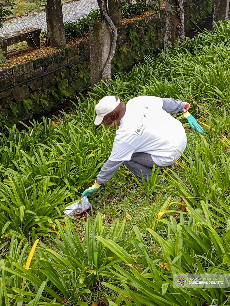 Dia Internacional do Voluntariado