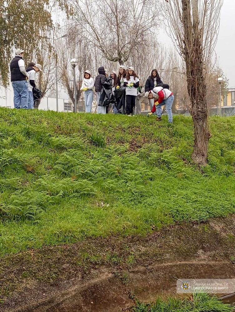 Dia Internacional do Voluntariado