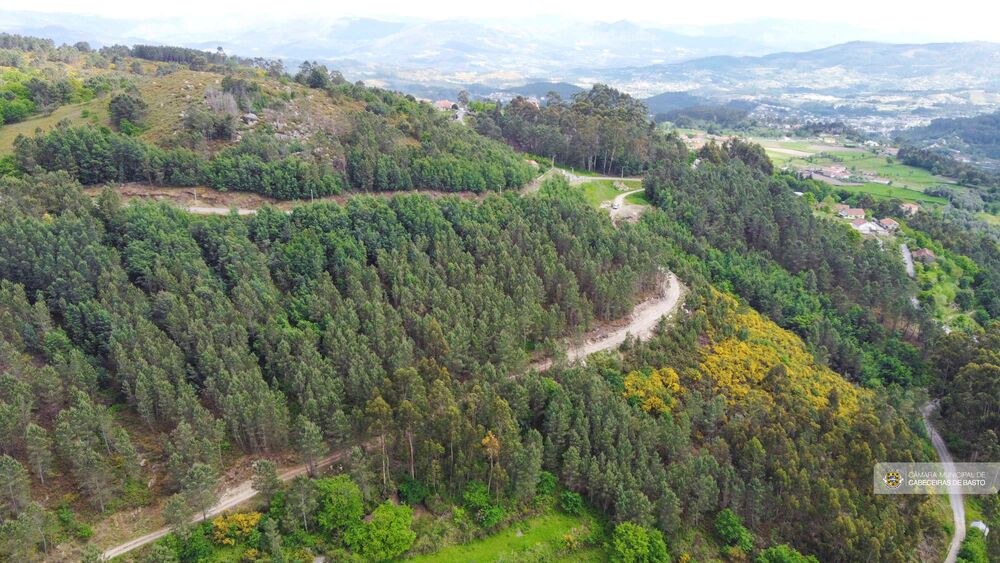 Rally de Portugal