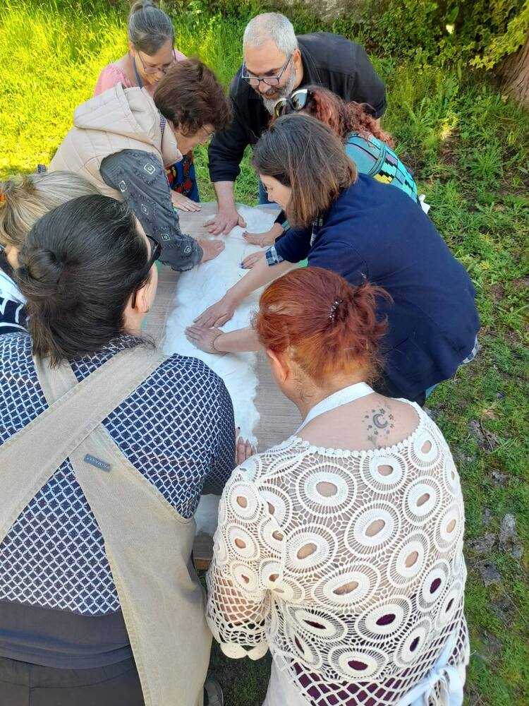 Workshop de Lã