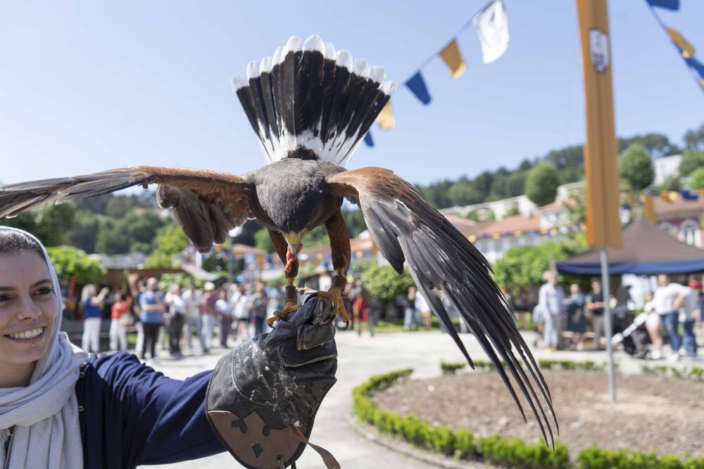 Feira Medieval