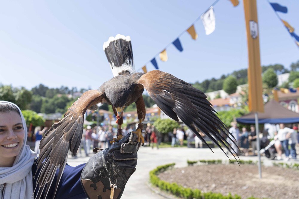 Feira Medieval