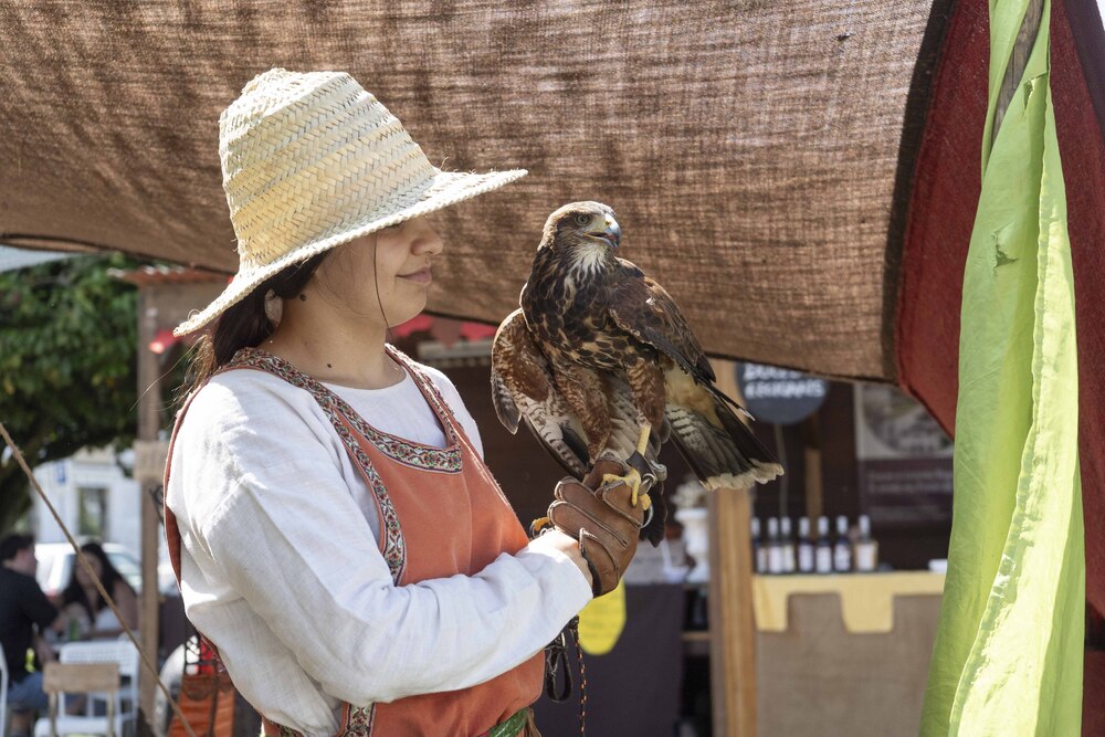 Feira Medieval