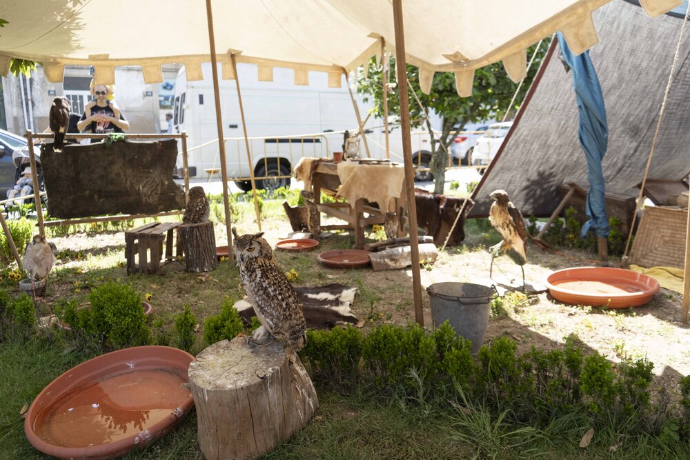 Feira Medieval