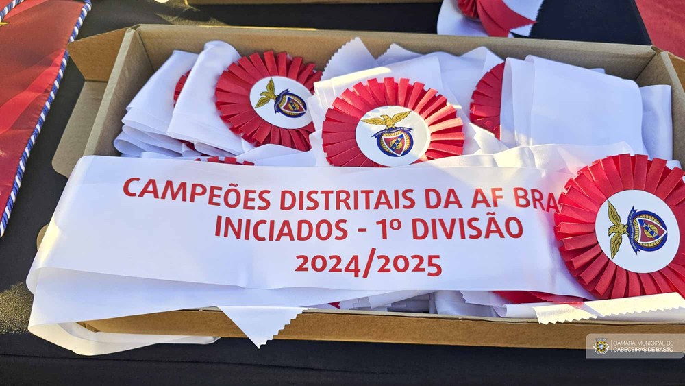 Águias de Alvite