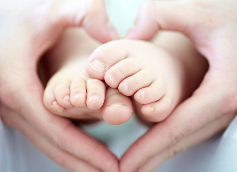 Leia mais sobre Câmara Municipal entrega mais oito apoios à natalidade