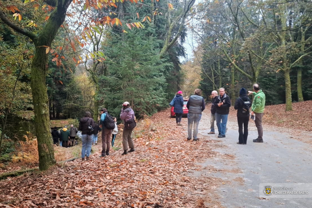 1.ª Conferência Internacional sobre as Causas de Incêndios Florestais (WIC25)
