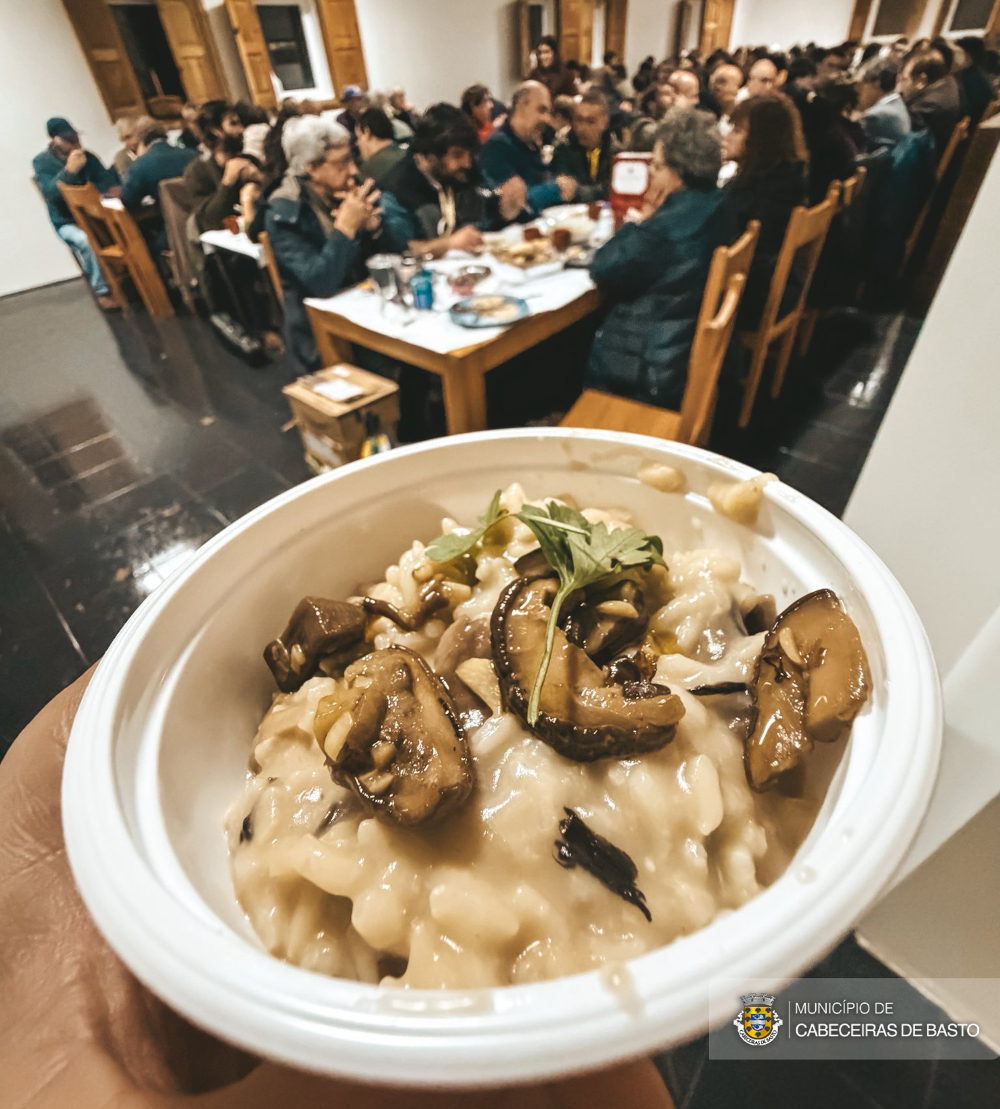 À descoberta dos cogumelos no 8.º Encontro Micológico da Serra da Cabreira