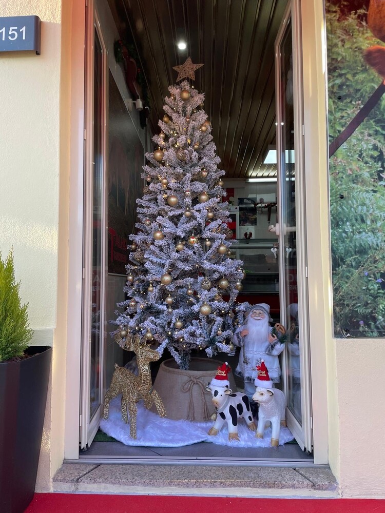 Montras Mágicas de Natal