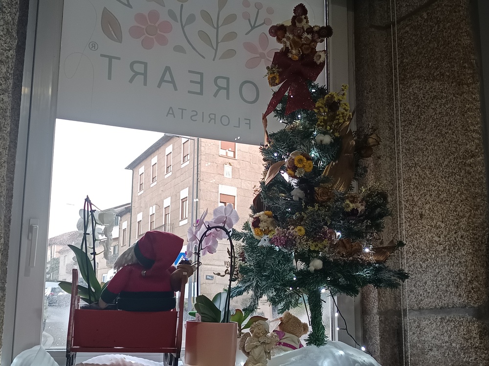 Montras Mágicas de Natal