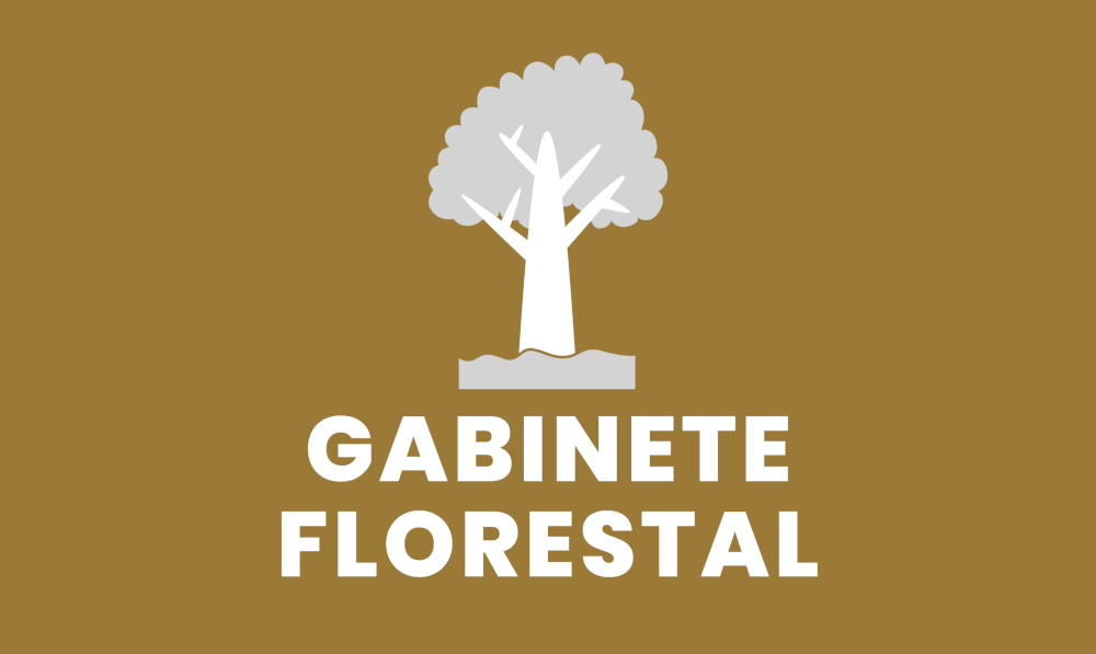 Informação do Gabinete Florestal