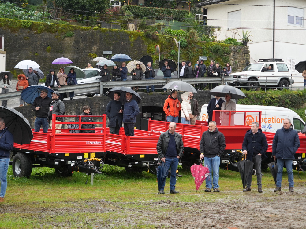 Festa da Orelheira e do Fumeiro