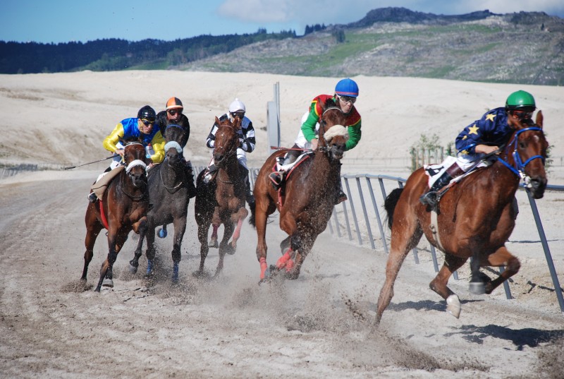 Leia mais sobre Hipódromo Municipal recebe corrida de Cavalos no Domingo