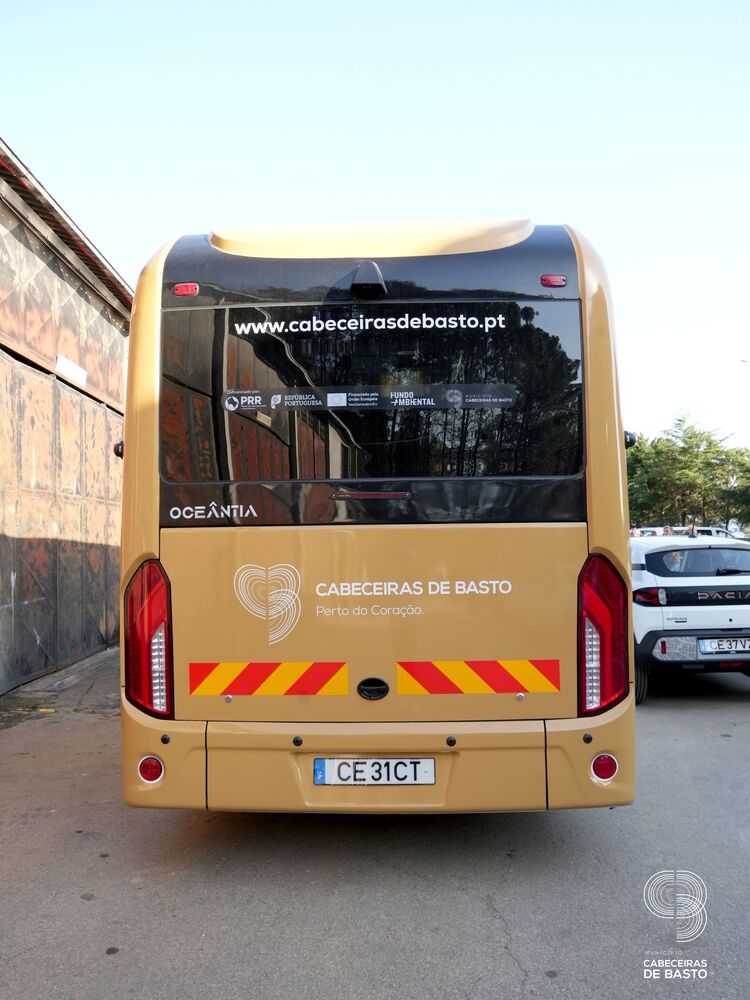 Frota automóvel elétrica