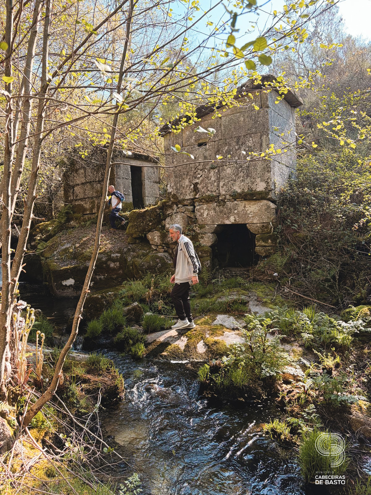 Caminhada da Primavera