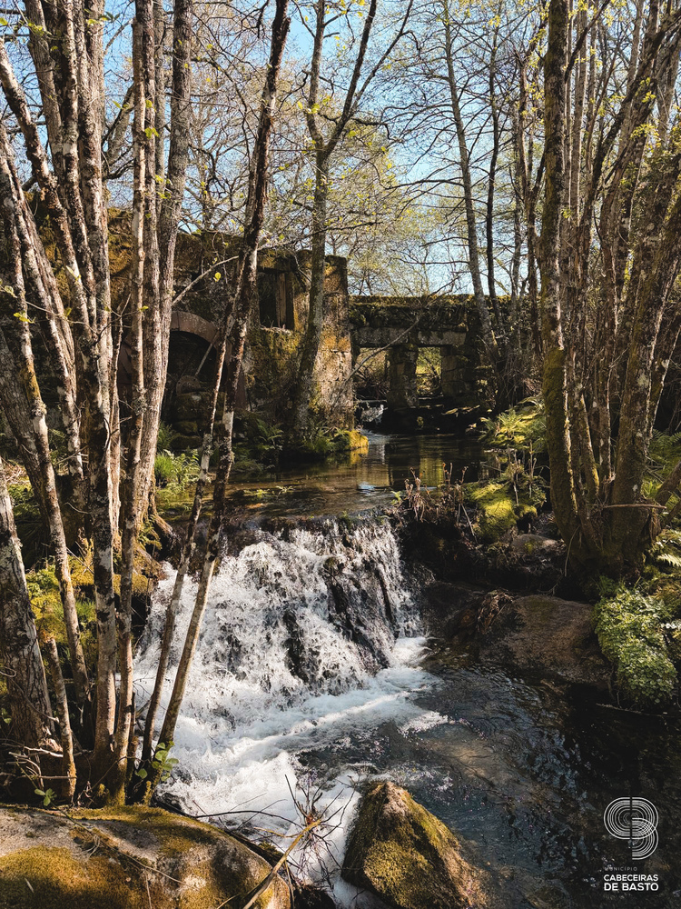 Caminhada da Primavera