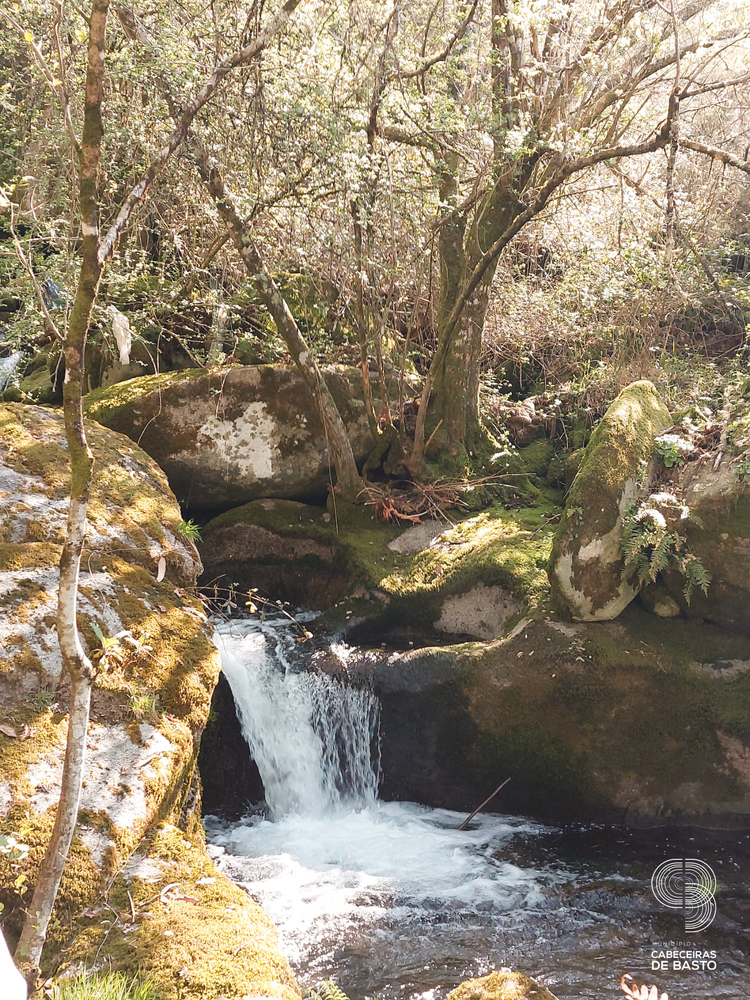 Caminhada da Primavera