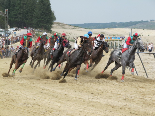 Leia mais sobre Espectáculo e competição marcaram Corridas de Cavalos