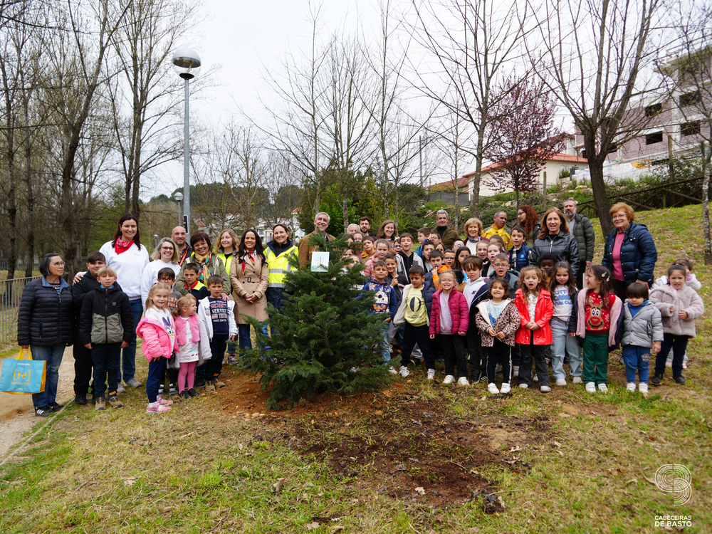 Dia Mundial da Árvore