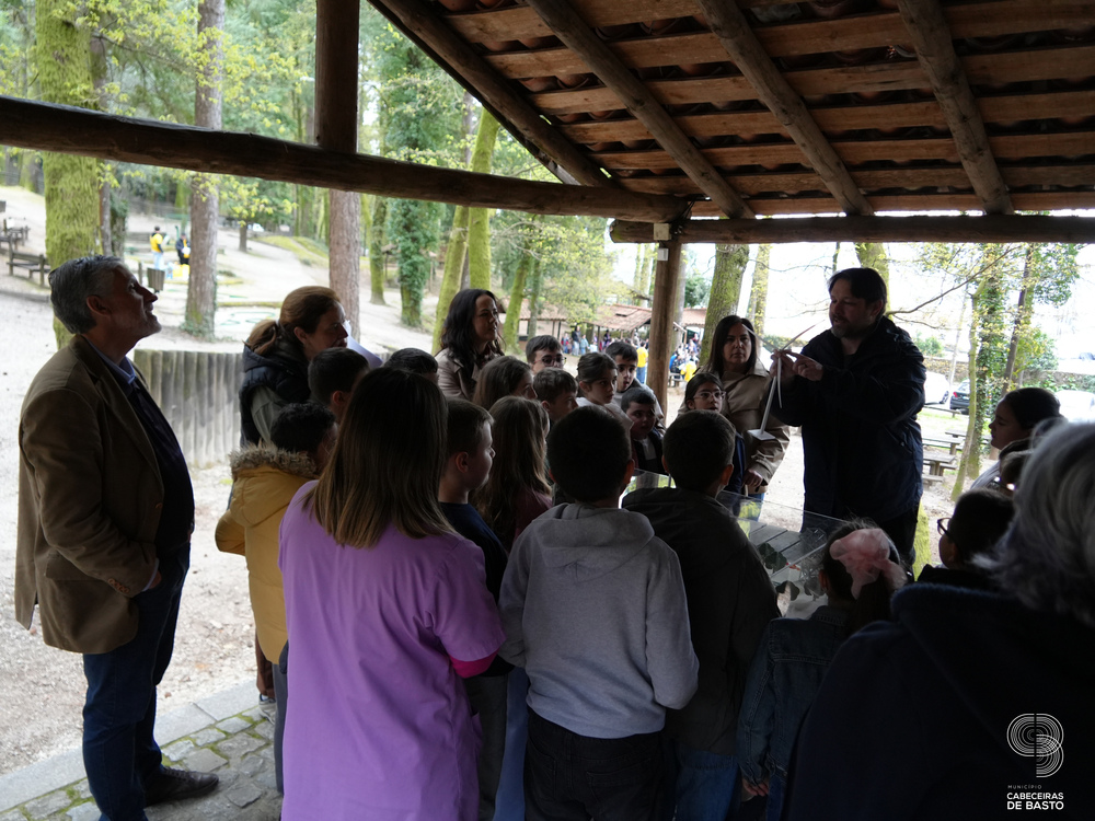 Dia Mundial da Árvore