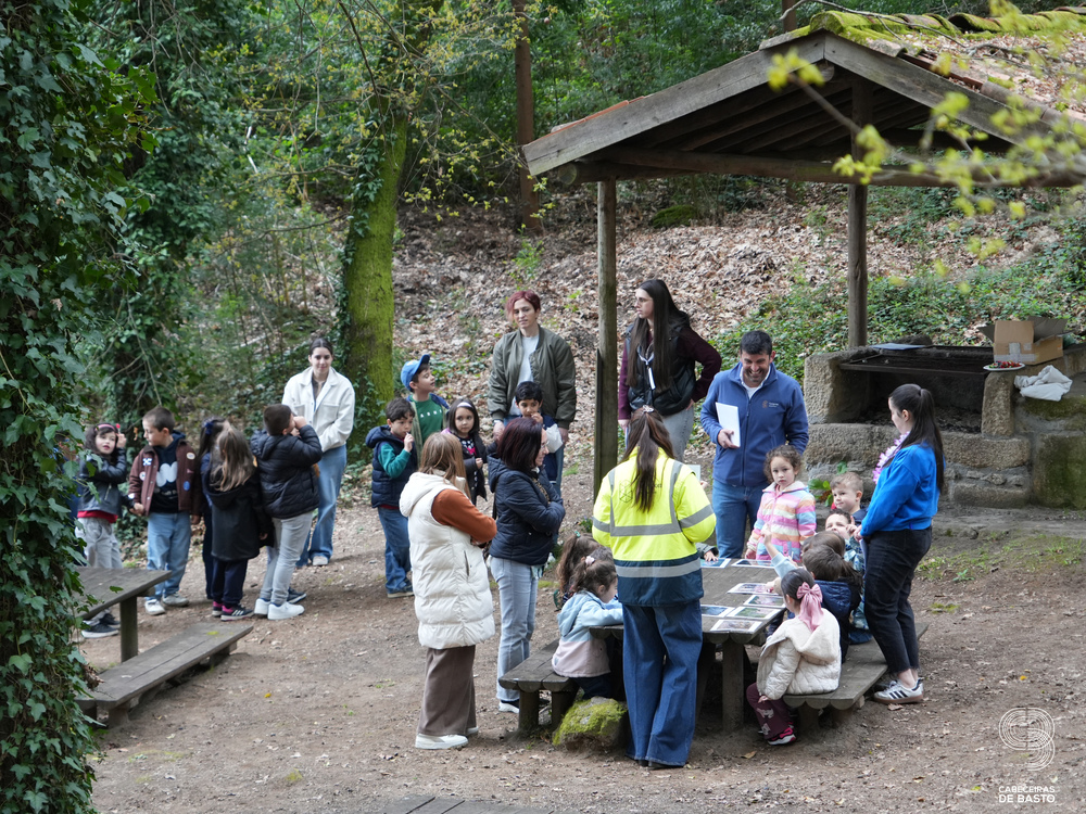 Dia Mundial da Árvore