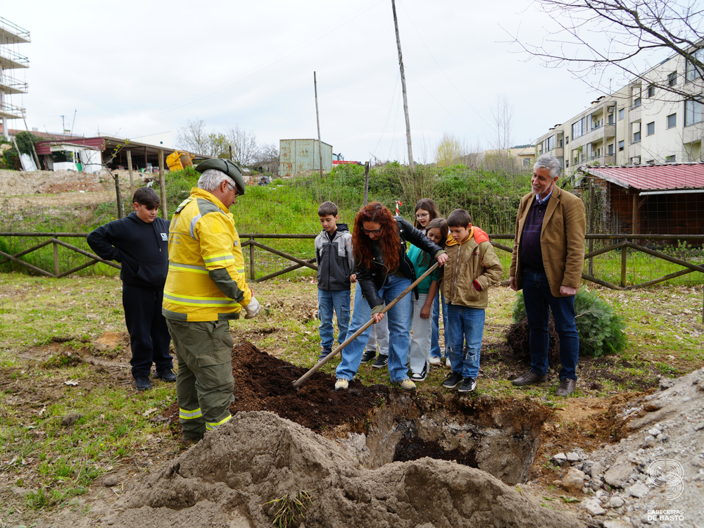 Dia Mundial da Árvore