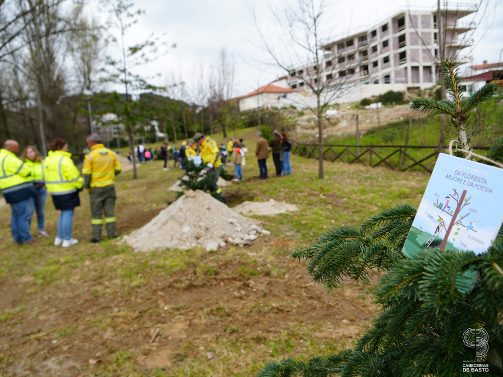 Dia Mundial da Árvore